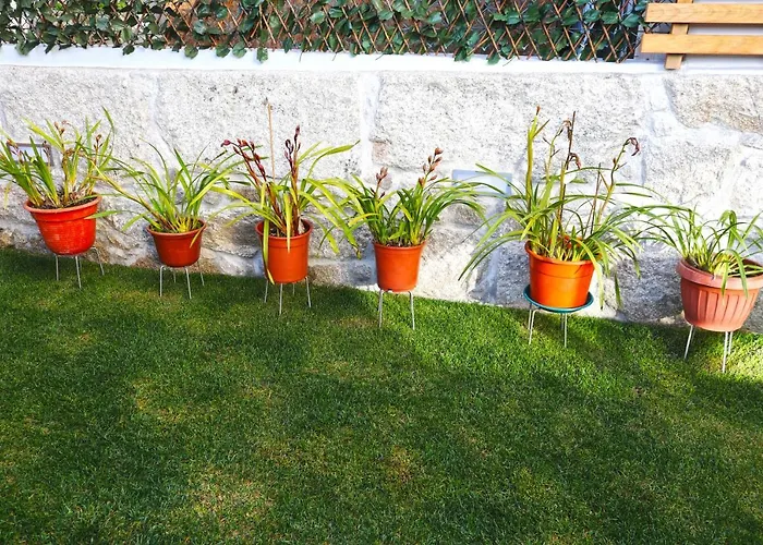 Lusitana Hotel Oporto